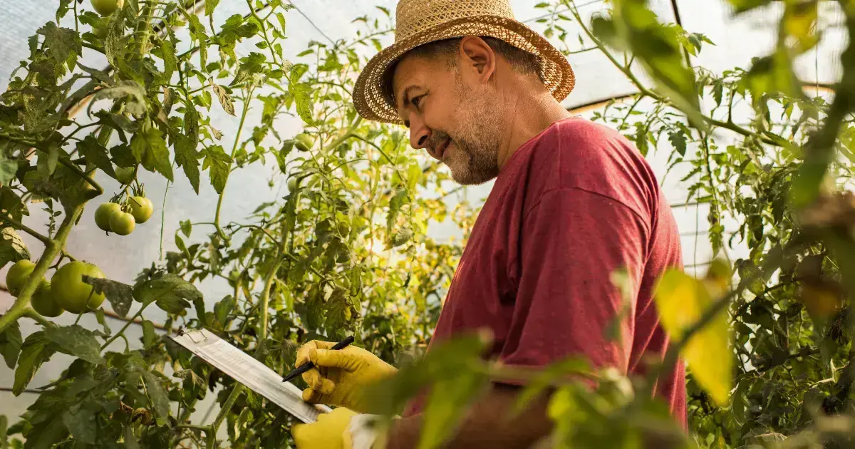 What Is a Farm Store Audit? [& How To Run Your Own]